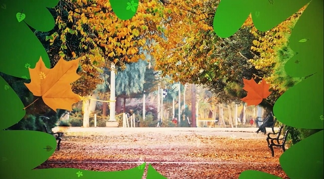 پاییز دل‌انگیز